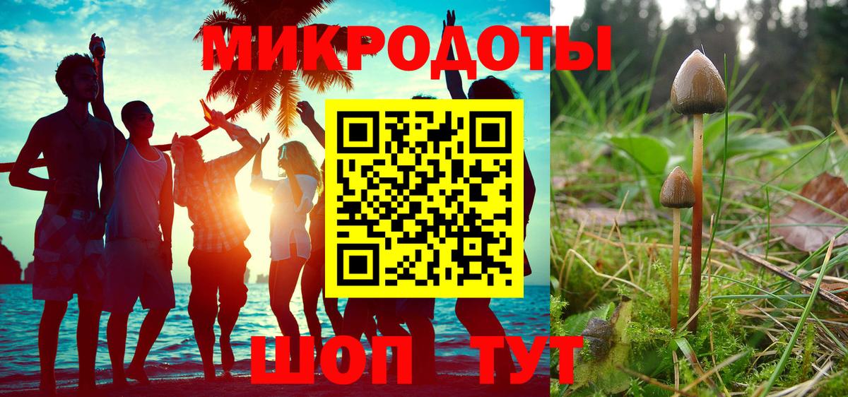 Галлюциногенные грибы Cubensis  Вход с VPN  Амурск 