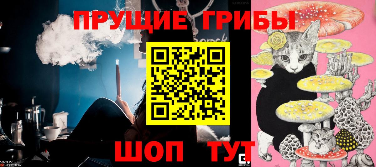 А ПВП Амурск